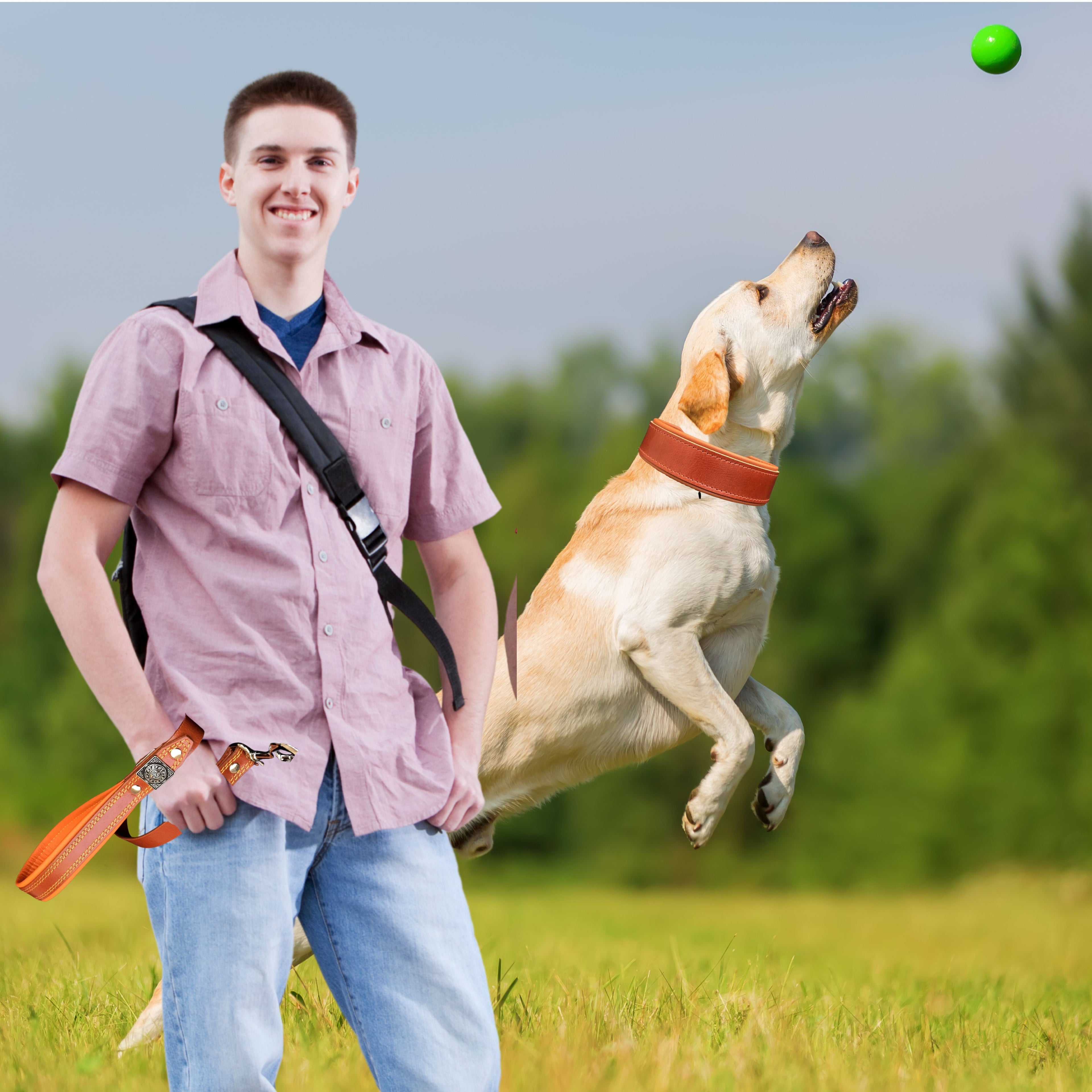 PACK for Dogs