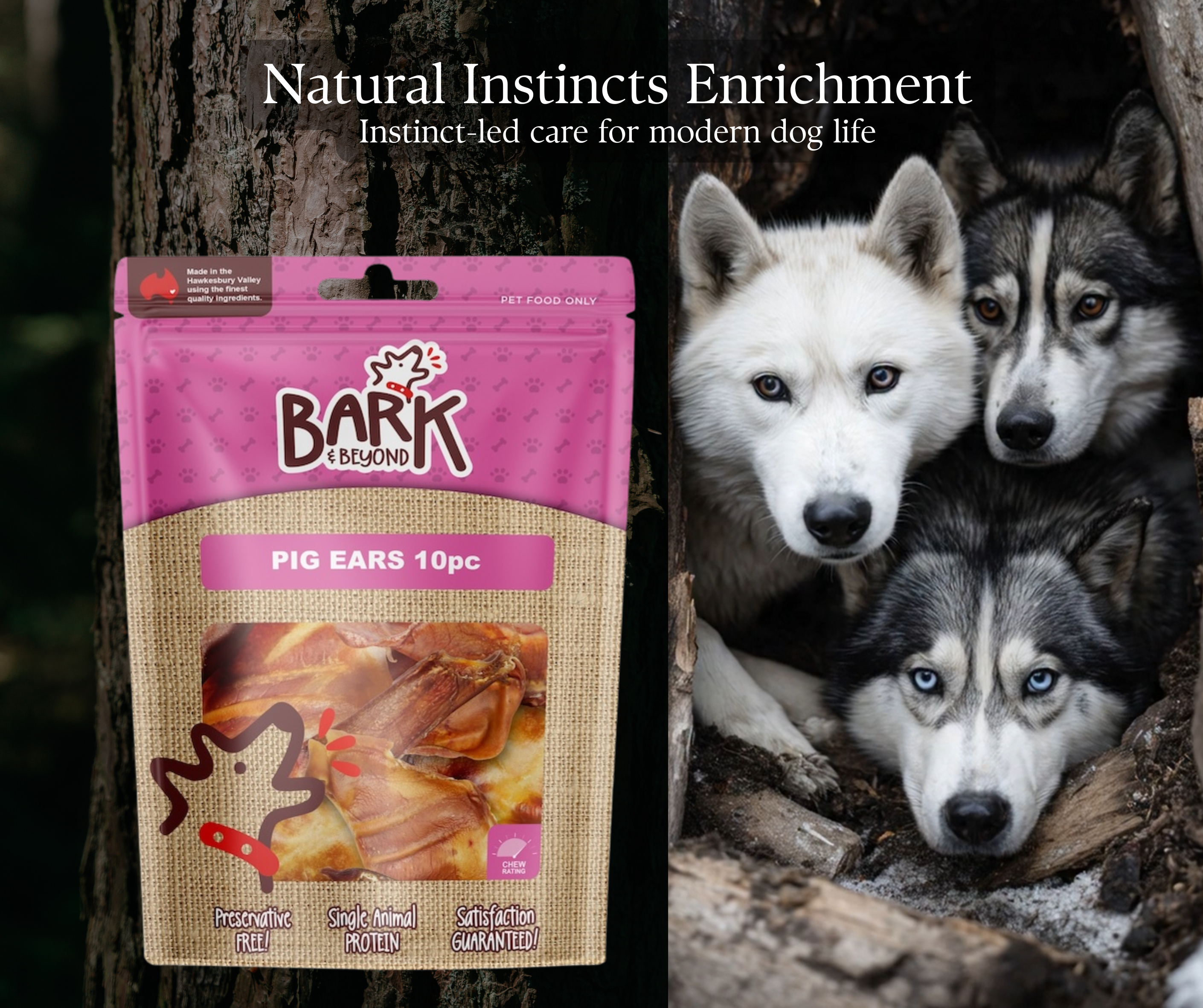 Bark & Beyond - Pigs Ears Australian - 10pc