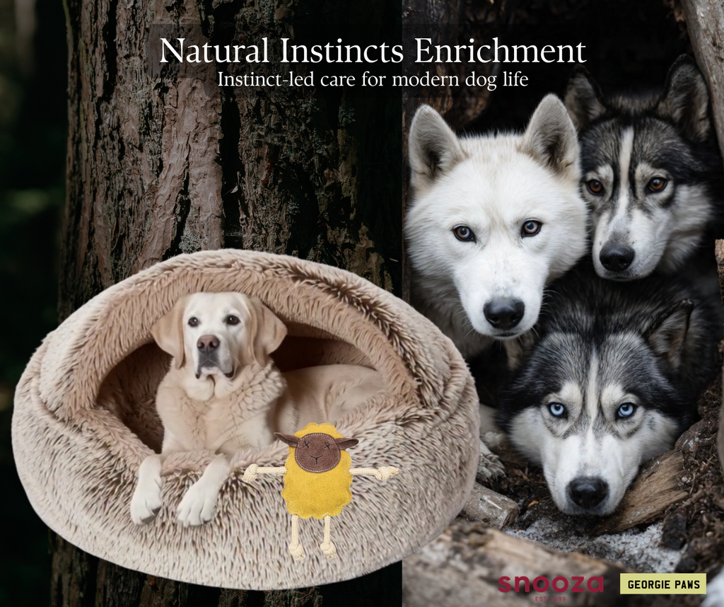 Den and Soothe Enrichment Set