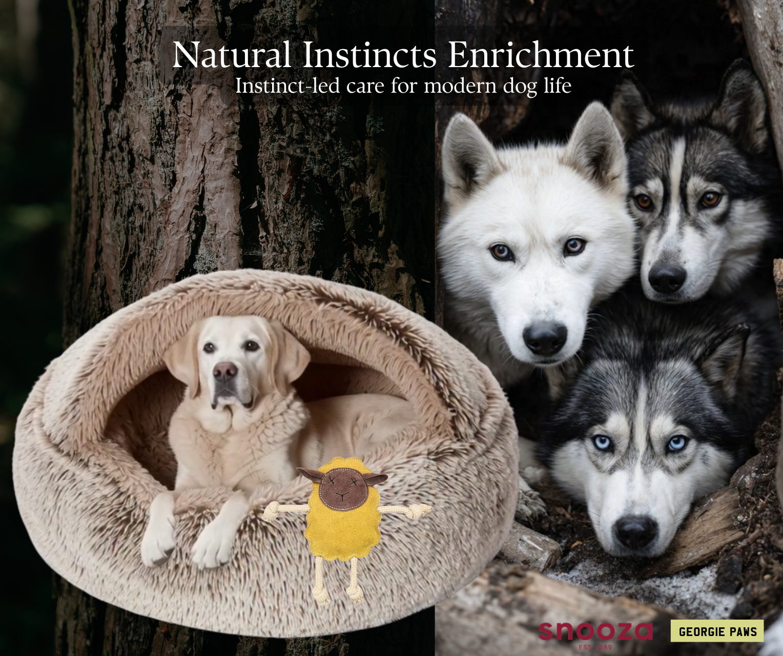 Den and Soothe Enrichment Set