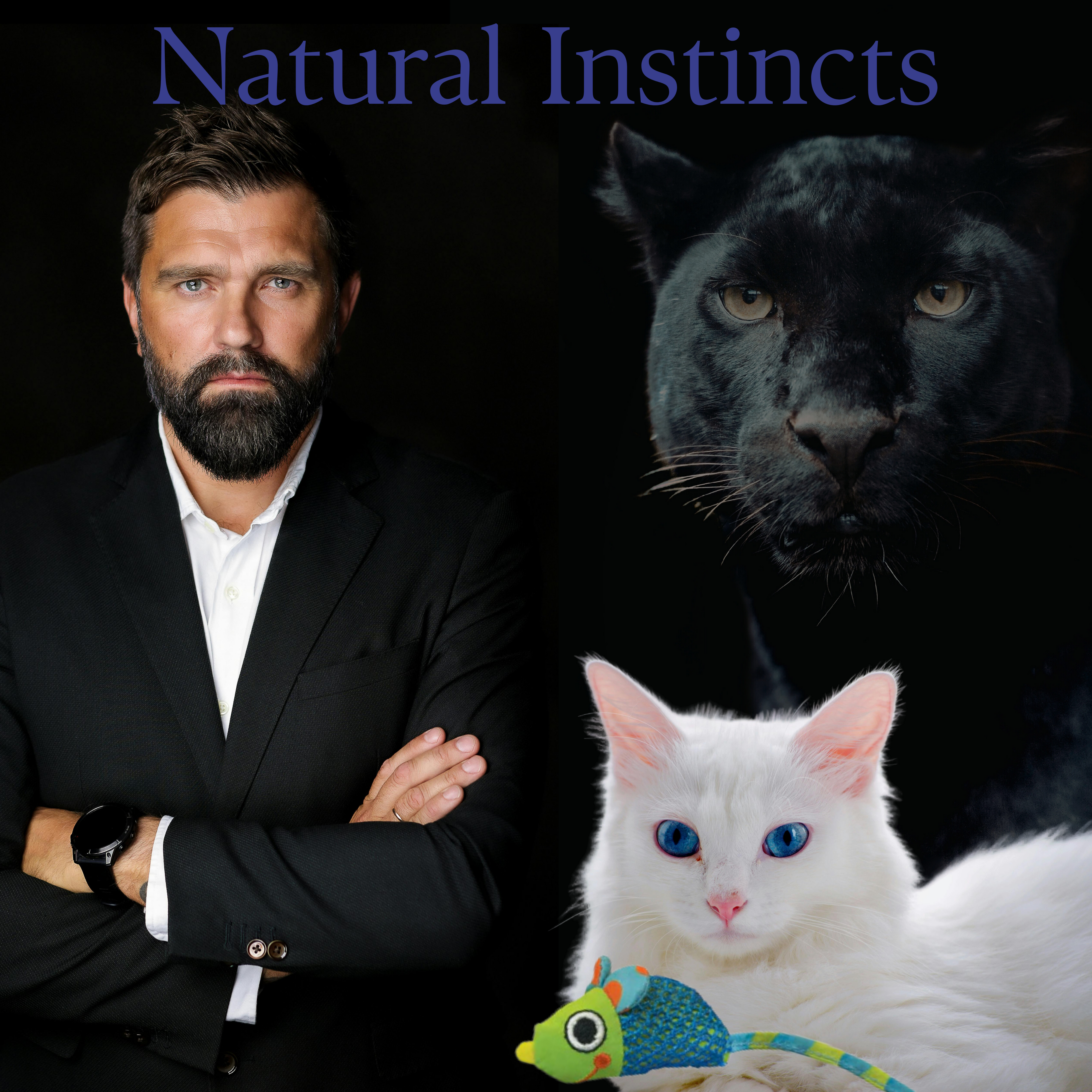 Catstages – Catnip Chew Mice