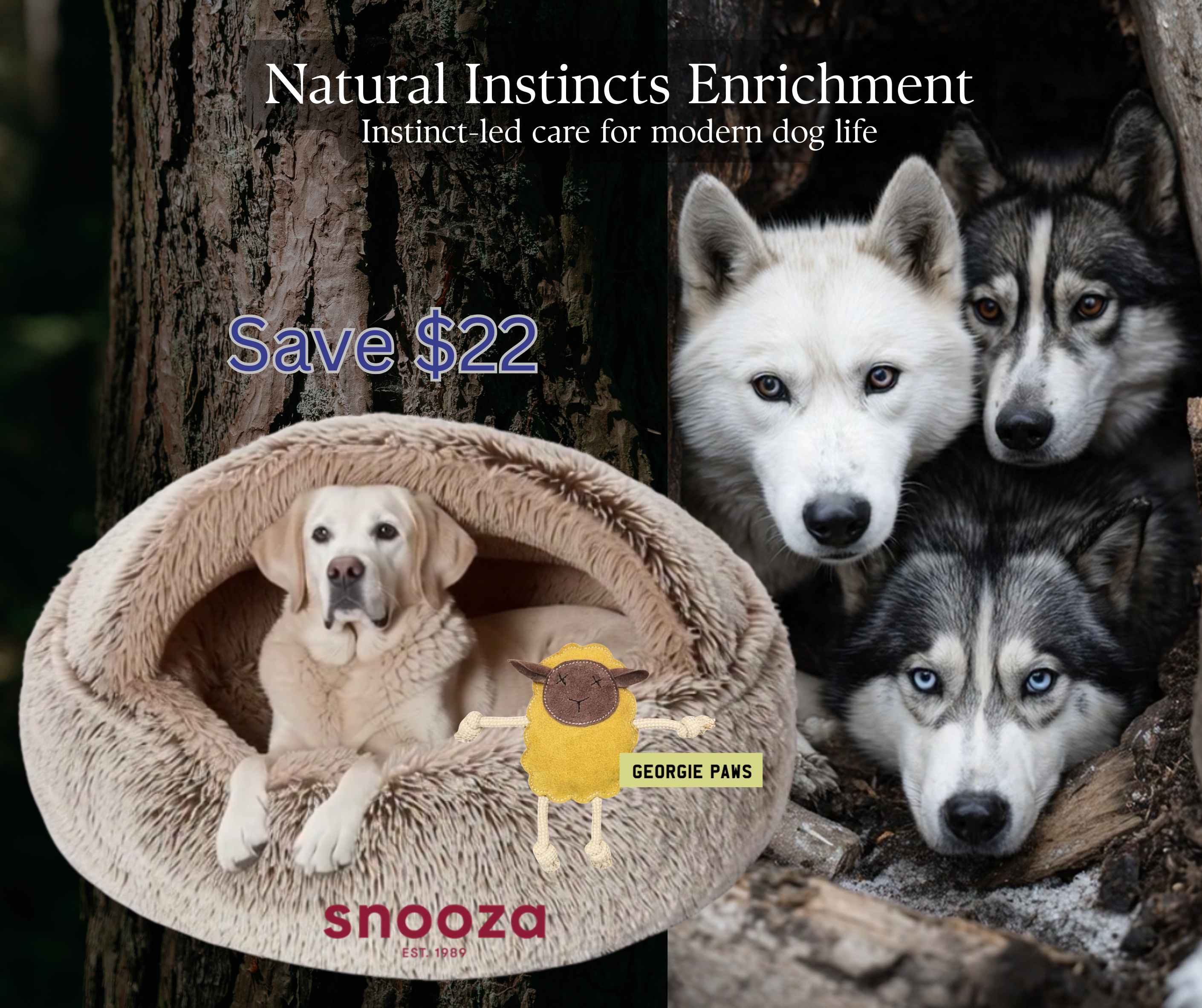 Den and Soothe Enrichment Set