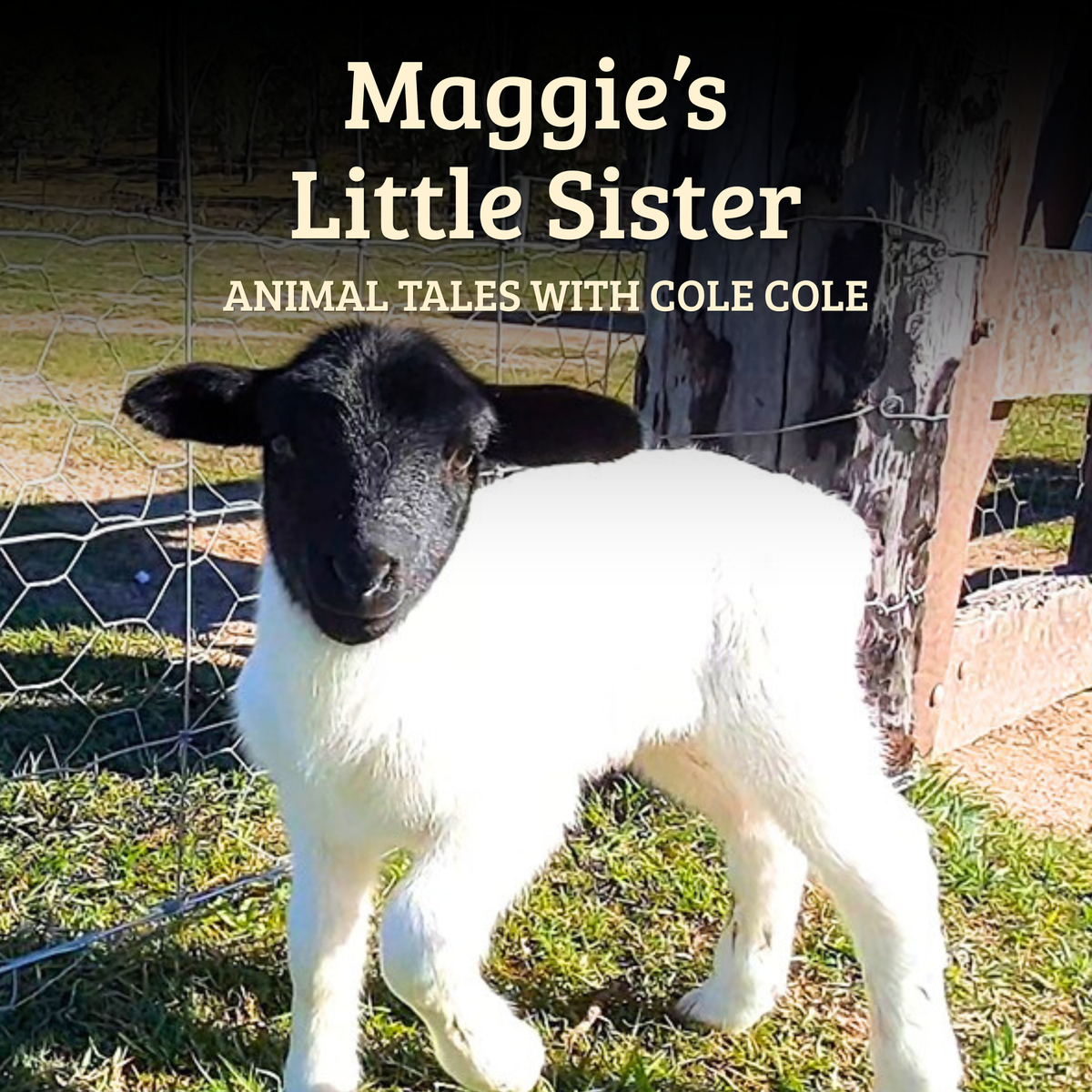 Maggie’s Little Sister – Paperback Book, Songs & Educator Guide | Single-Service Licence