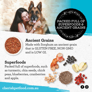 Cherish - Playful Puppy