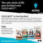 Cherish - Amazing Adult