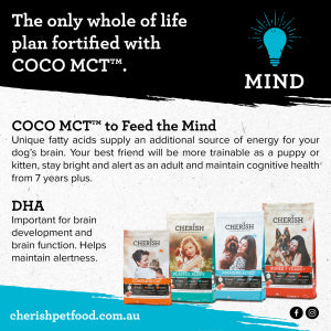 Cherish - Amazing Adult