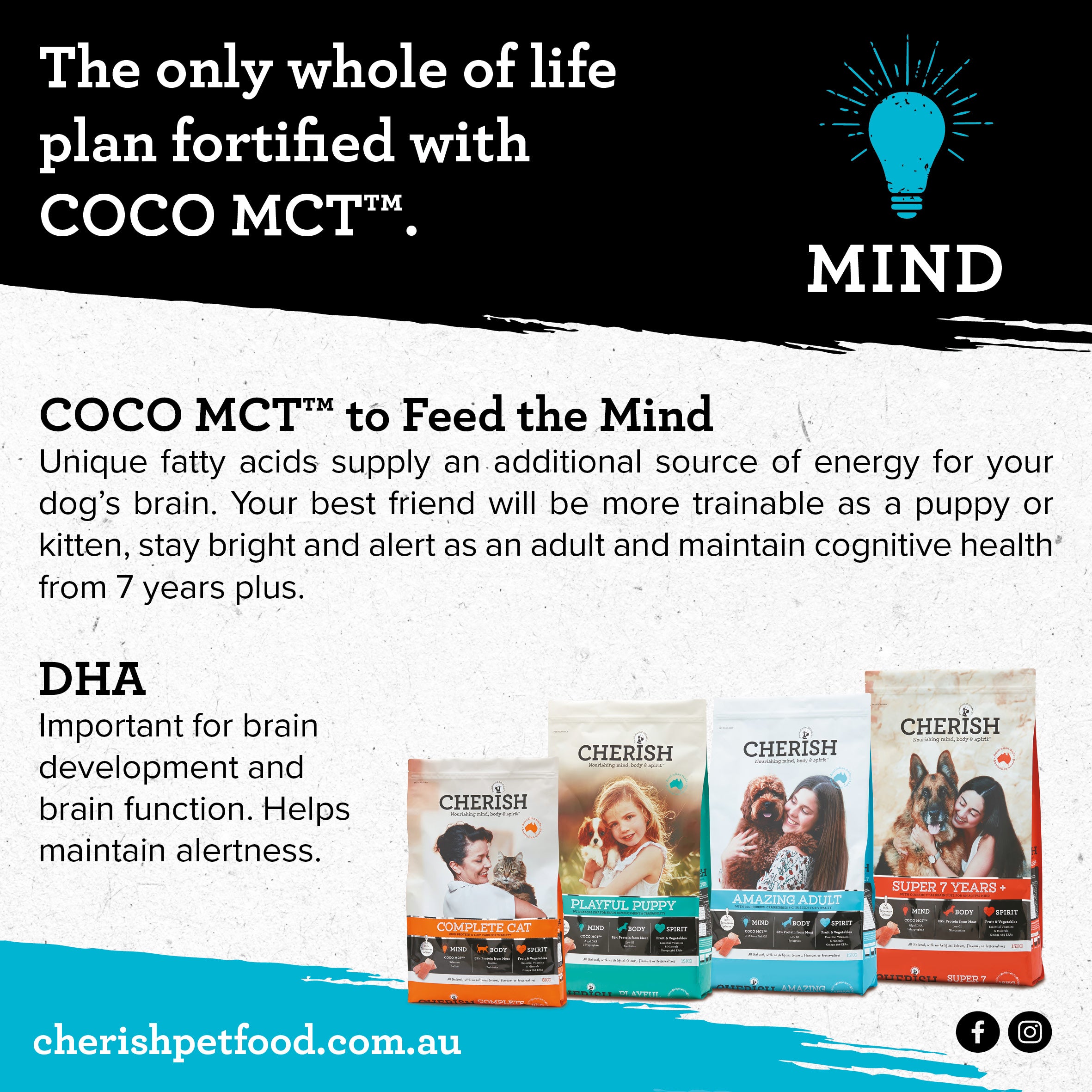 Cherish - Playful Puppy