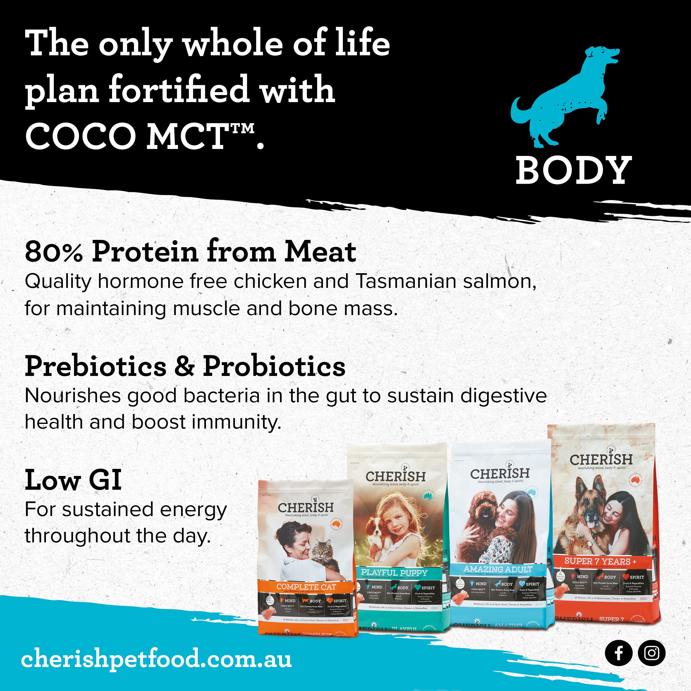 Cherish - Playful Puppy