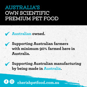 Cherish - Amazing Adult