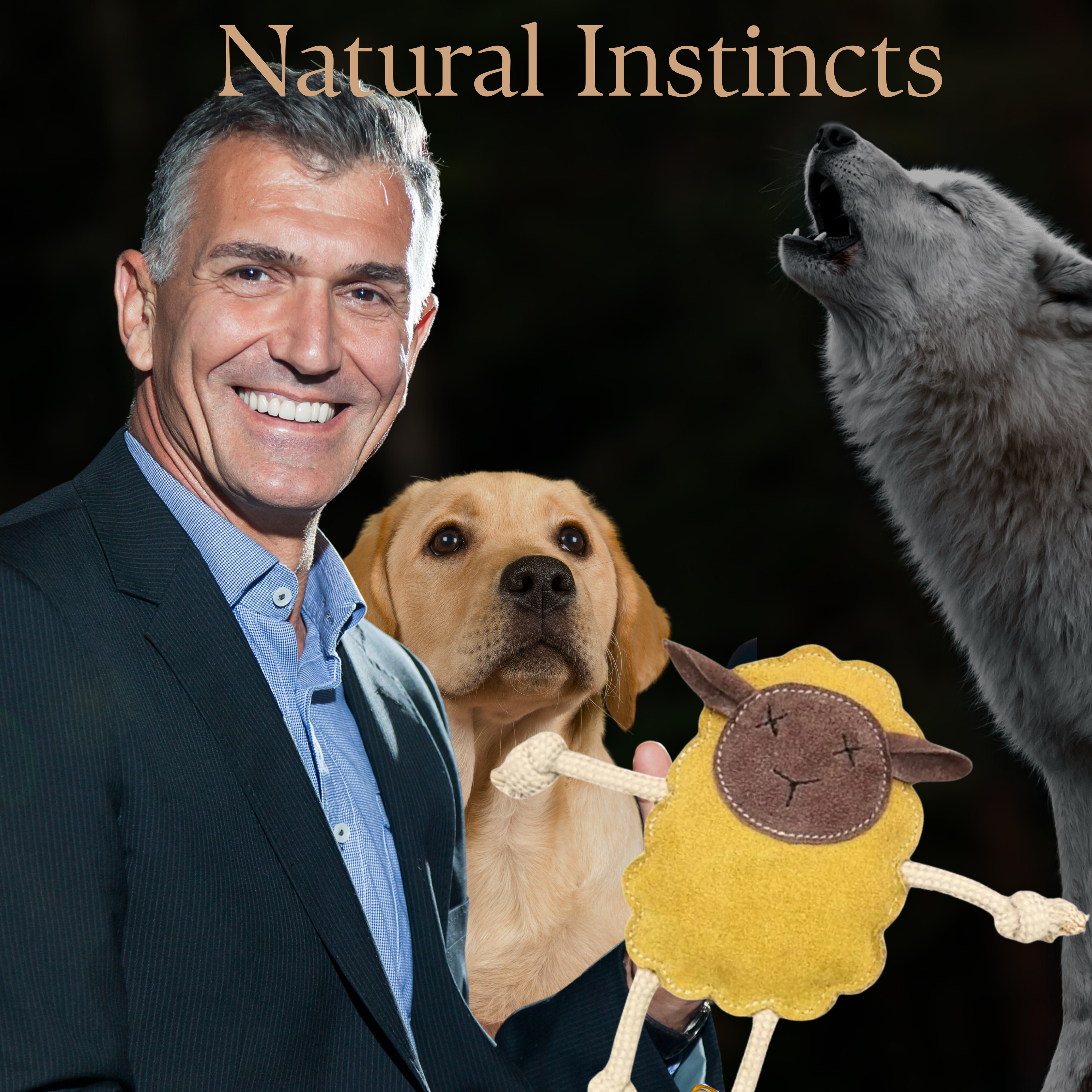 Georgie Paws - Mary the Lamb - Gold