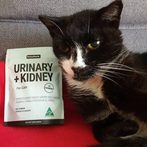 PetzPark - Urinary + Kidney - For Cats - 90g Powder