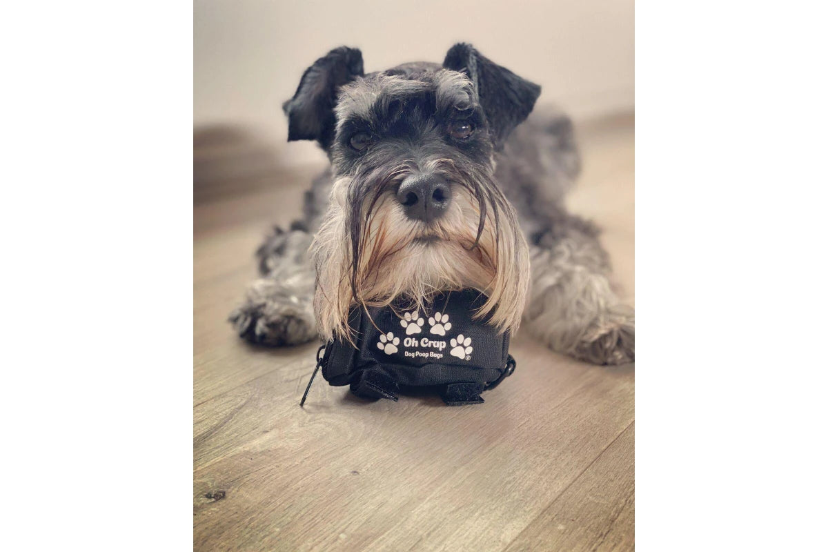 Oh Crap - Dog Poop Bag Holder - Black