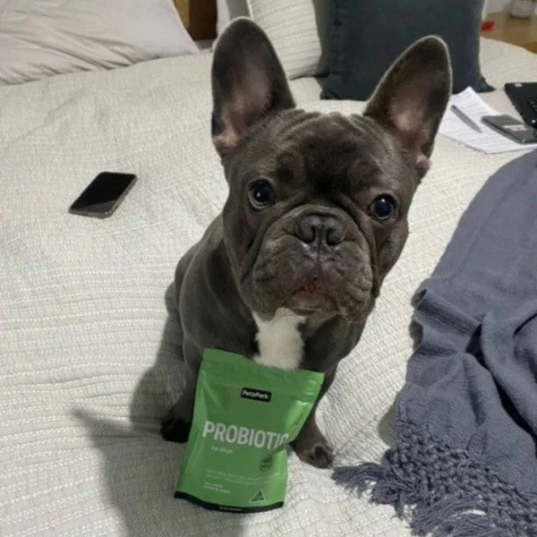 PetzPark – Probiotic Supplement – For Dogs 153g