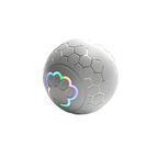 Interactive Dog Toy Ball - Grey Striped