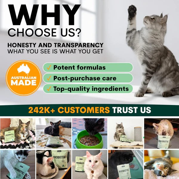 PetzPark - Probiotic - For Cats - 60g Powder