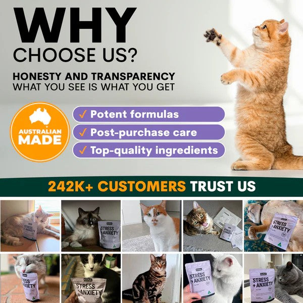 PetzPark - Stress + Anxiety - For Cats - 90g Powder