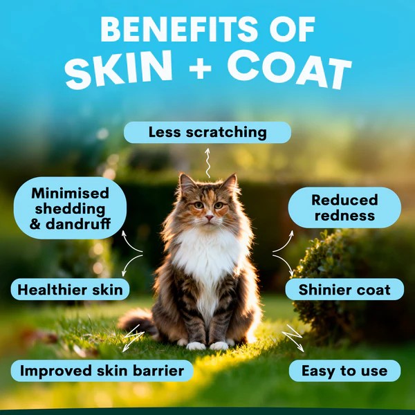 PetzPark - Skin + Coat Supplement - For Cats - 72g Powder