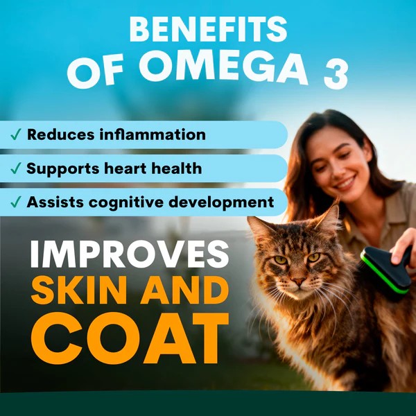 PetzPark - Skin + Coat Supplement - For Cats - 72g Powder