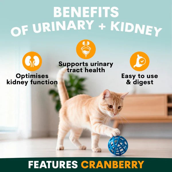 PetzPark - Urinary + Kidney - For Cats - 90g Powder