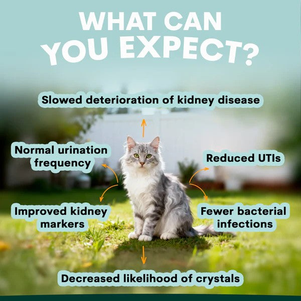PetzPark - Urinary + Kidney - For Cats - 90g Powder