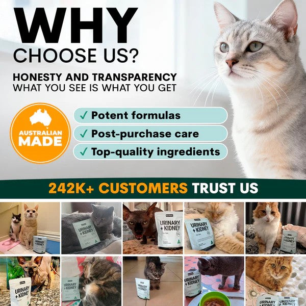 PetzPark - Urinary + Kidney - For Cats - 90g Powder