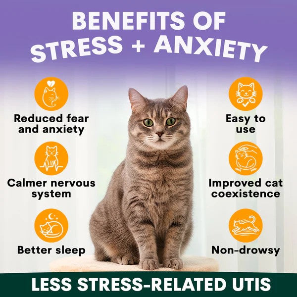 PetzPark - Stress + Anxiety - For Cats - 90g Powder