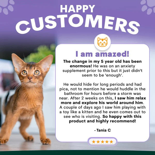 PetzPark - Stress + Anxiety - For Cats - 90g Powder