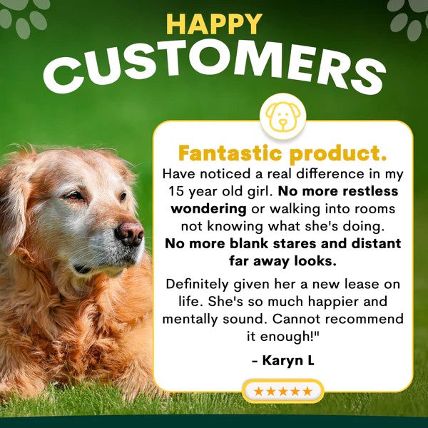 PetzPark - Brain Support Supplement- For Dogs - 180g Powder