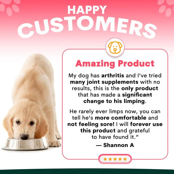 PetzPark – Hip  and Joint Supplement – For Dogs