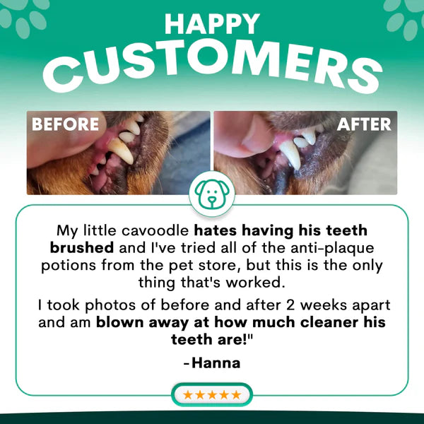 PetzPark - Plaque Control - For Dogs - 126g Powder