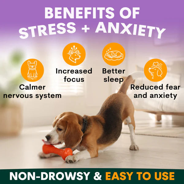 PetzPark – Stress + Anxiety Supplement – For Dogs 180g