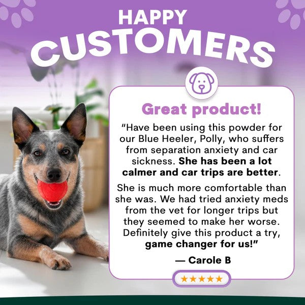 PetzPark – Stress + Anxiety Supplement – For Dogs 180g