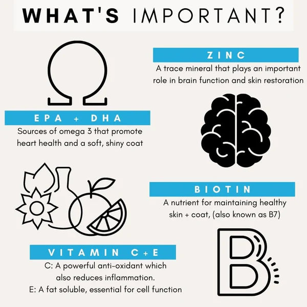 PetzPark – Skin + Coat Supplement – For Dogs