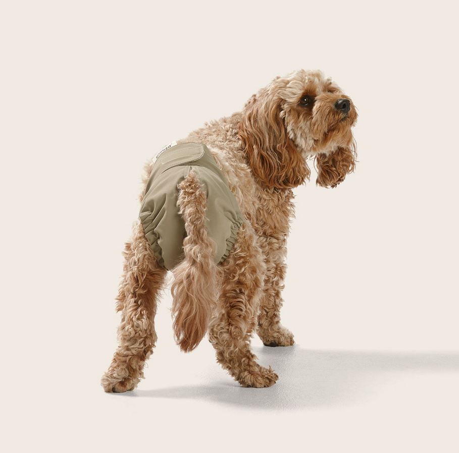 Snooza - Washable Dog Nappy - Twin Pack for Female Dogs - Large