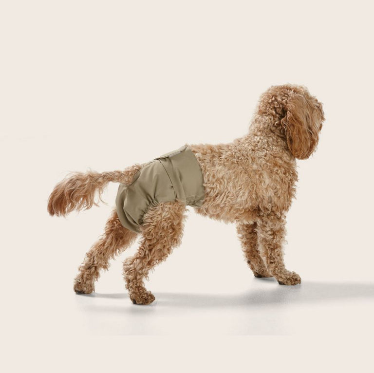 Snooza - Washable Dog Nappy - Twin Pack for Female Dogs - Large