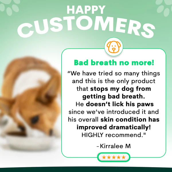 PetzPark – Probiotic Supplement – For Dogs 153g