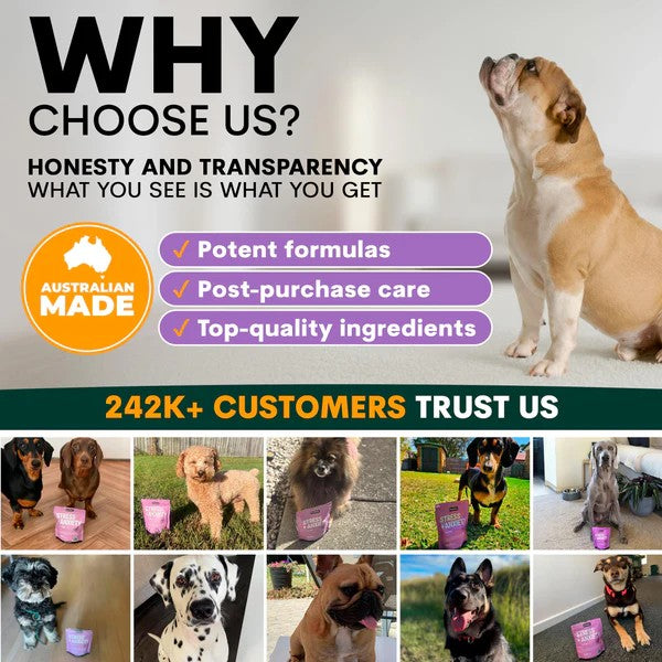 PetzPark – Probiotic Supplement – For Dogs 153g
