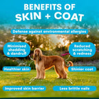 PetzPark – Skin + Coat Supplement – For Dogs