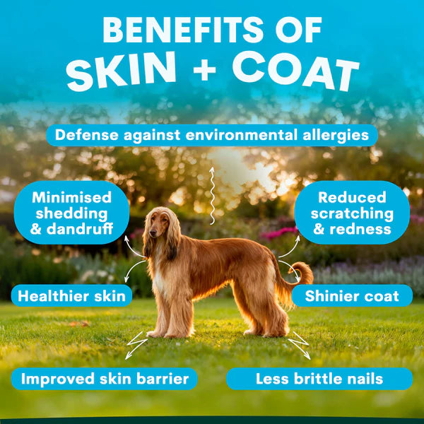 PetzPark – Probiotic Supplement – For Dogs 153g