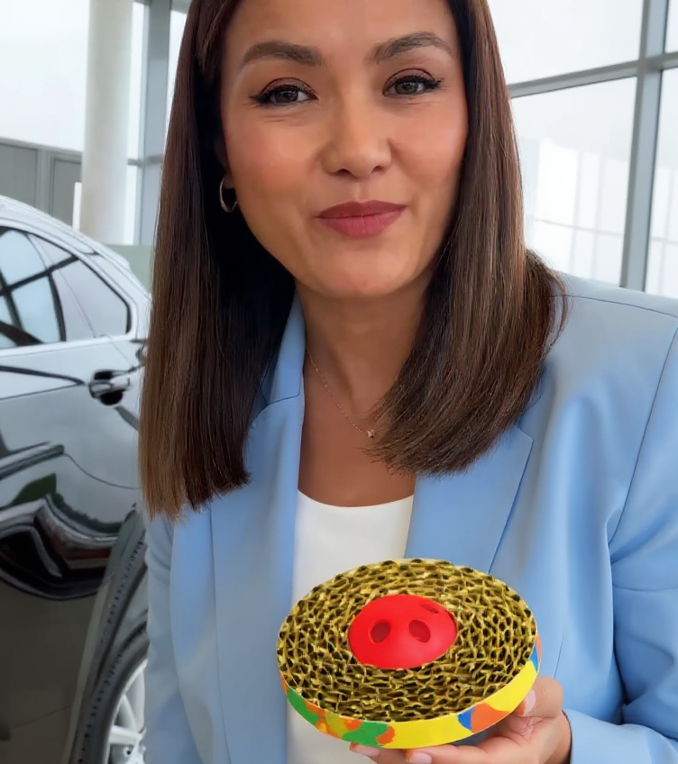 Petstages - Spin & Scratch