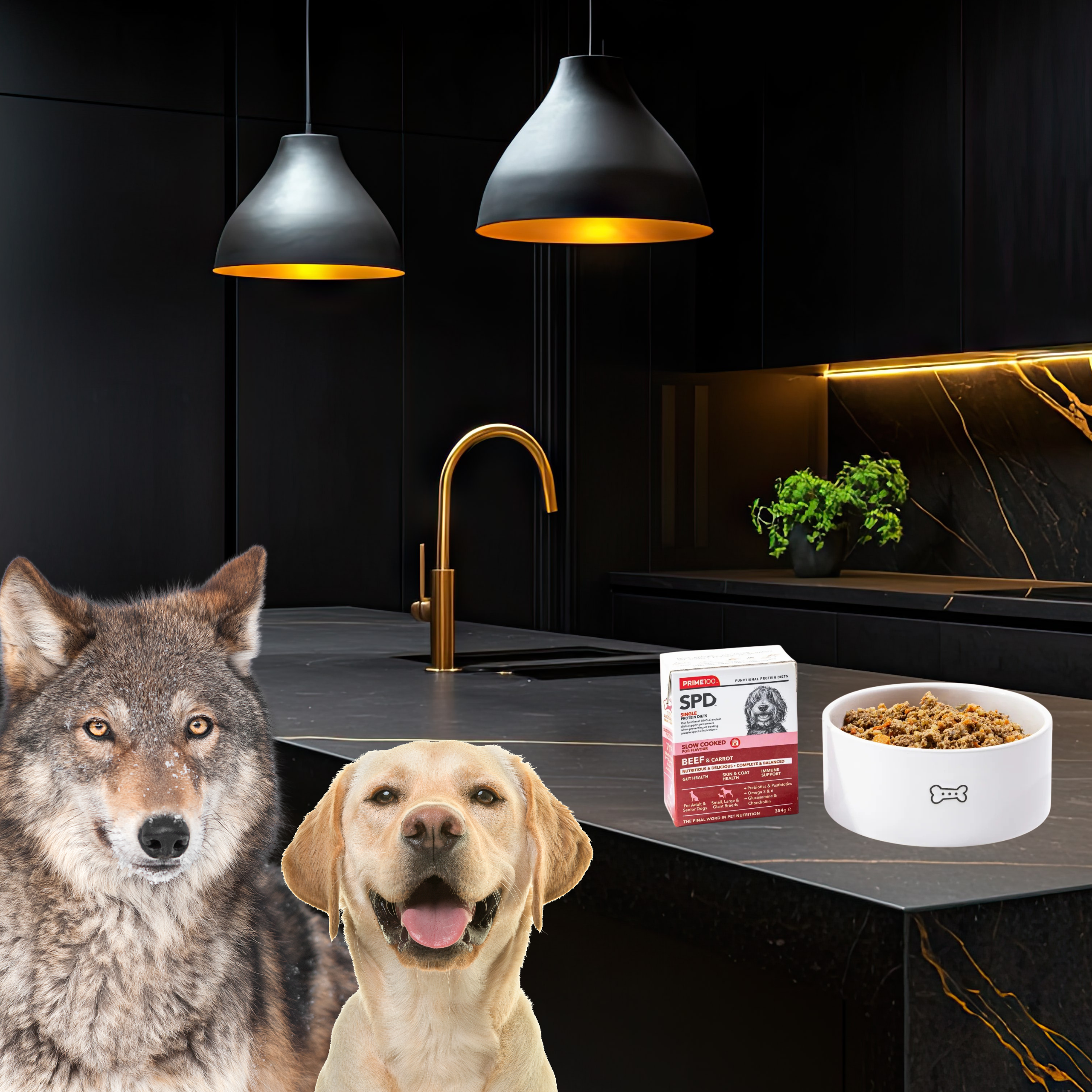 Prime100 - SPD Slow Cooked - Beef & Carrot - Tray of 12 x 354g