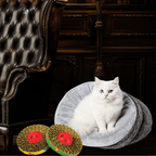 Petstages - Spin & Scratch