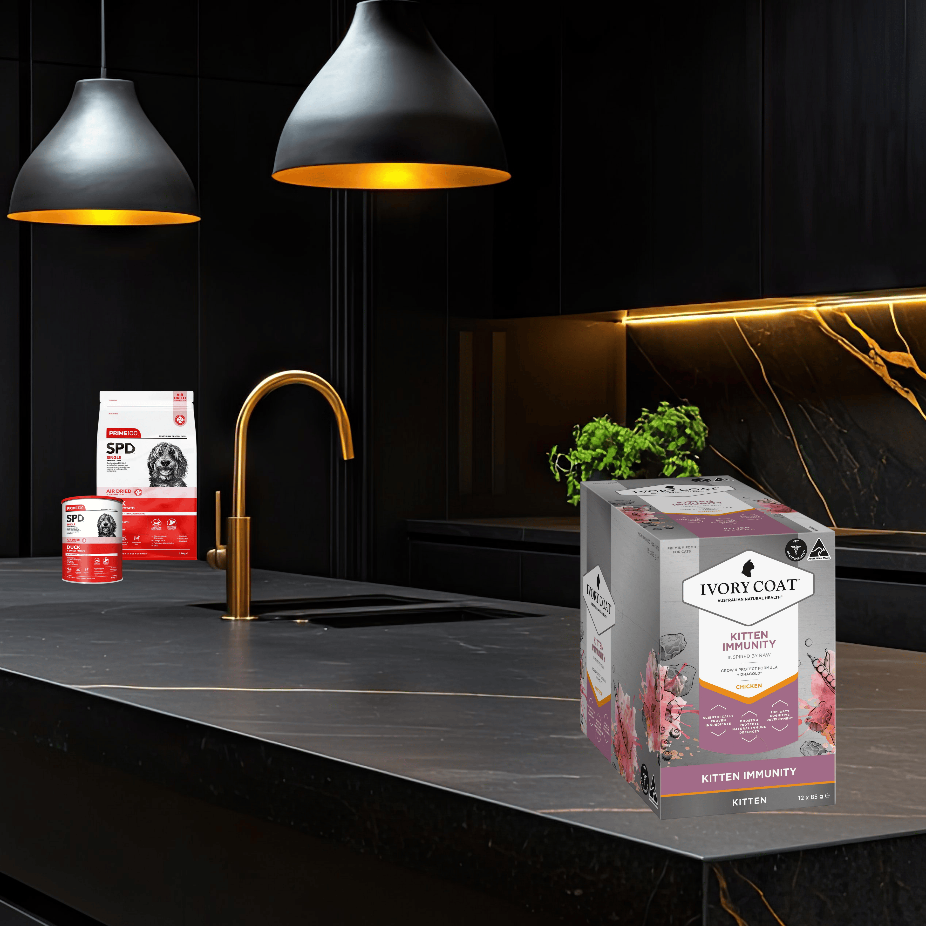 Ivory Coat  Wet Food Trays  Kitten Immunity - 12 x 85g