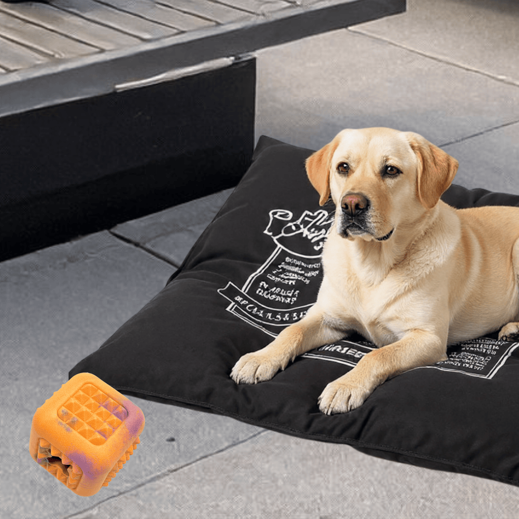 RUFF Play – TPR Foam Treat Cube