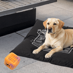 RUFF Play – TPR Foam Treat Cube