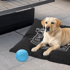 RUFF Play - Rubber Squeaker Ball - XL