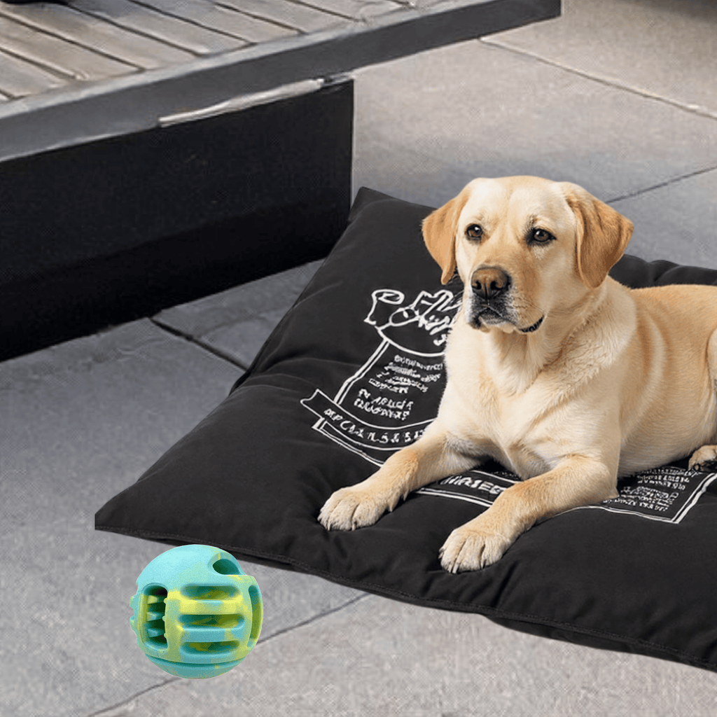 RUFF Play - Denta Fun - Foam Treat Ball