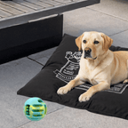 RUFF Play - Denta Fun - Foam Treat Ball