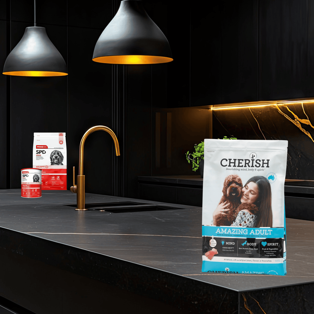 Cherish - Amazing Adult