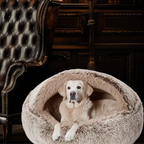 Double Den and Soothe Enrichment Set